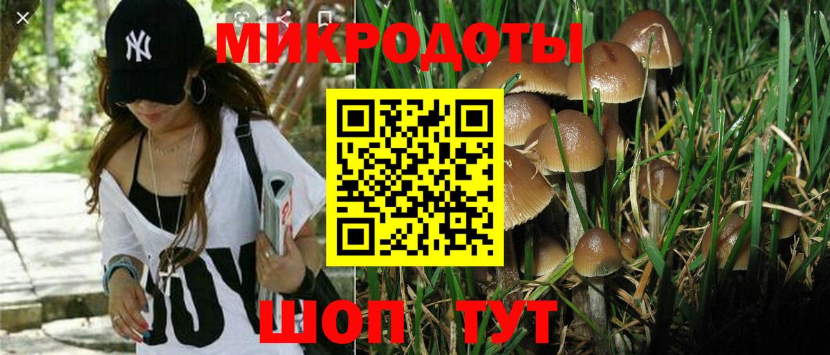 купить наркотики цена  Псилоцибиновые грибы Magic Shrooms  Вход с VPN  Камень-на-Оби 